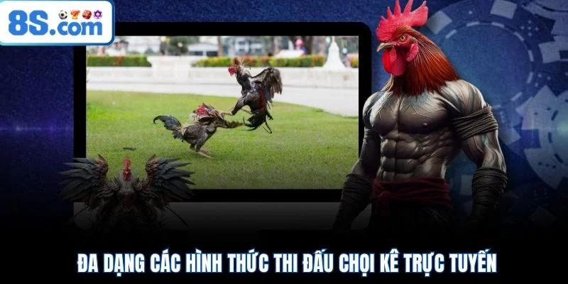 Đa dạng các hình thức thi đấu chọi kê trực tuyến