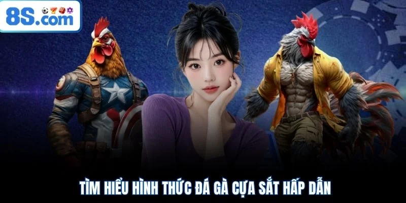 Tìm hiểu hình thức đá gà cựa sắt hấp dẫn